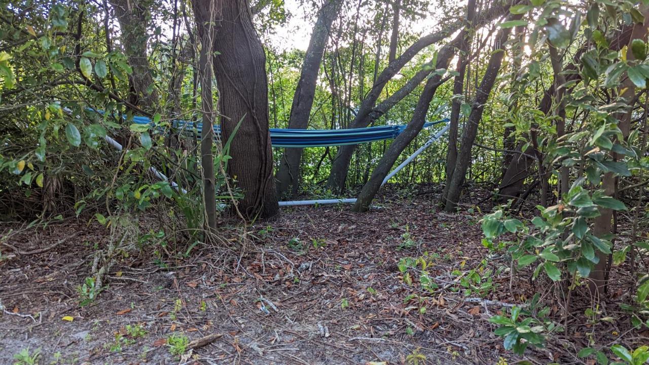 Your Manatee And Scalloping Adventure Retreat Crystal River Bagian luar foto